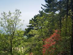-罗田薄刀峰风景区