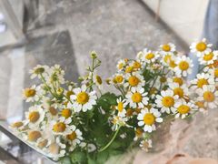 -雪蔓之鲜花气球派对(家佳源时代中心店)