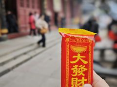 -普陀山慧济禅寺