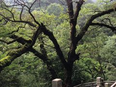 -重庆海昌加勒比海水世界