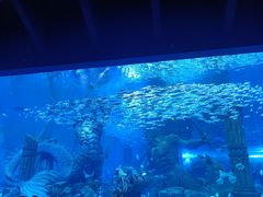 -哈尔滨波塞冬海底世界