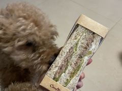 金牌吞拿鱼三明治-可莎蜜儿(湖墅南路店)