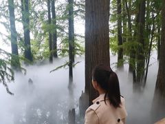 -东湖落雁景区