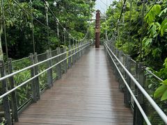 -新加坡飞禽公园