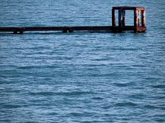 -贡湖湾湿地公园