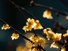 -月坛公园