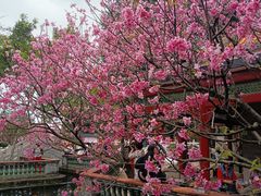 -宝墨园景区
