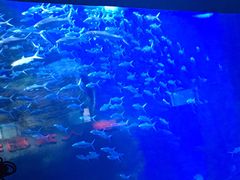 -多彩贵州城极地海洋世界