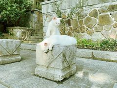 -采石矶景区
