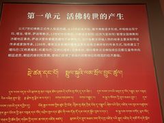 -西藏文化博物馆