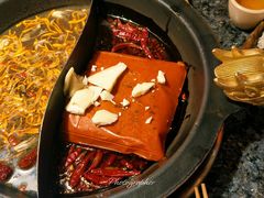 -蜀大侠火锅(总府路店)