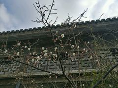 -尚贤河湿地