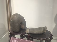 -武汉达临性学生命文化博物馆