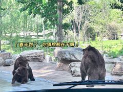 -北京野生动物园