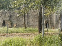 -秦皇岛野生动物园