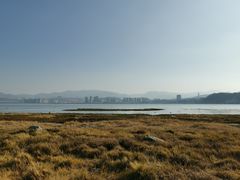 -洱海月湿地公园