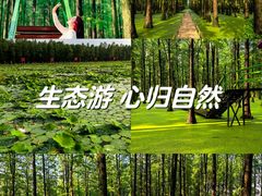 -渌洋湖湿地公园