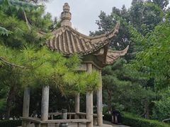 -团结湖公园
