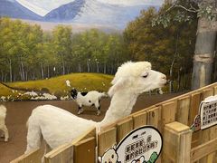 -正佳雨林生态植物园