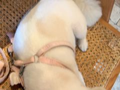 -翠贝卡&Mama Kelly Brunch Coffee(河西店)