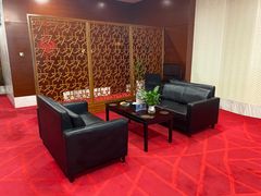 -郑州新郑国际机场T2航站楼-贵宾厅B区