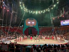 -俄罗斯国家大马戏团