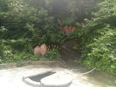 -洛阳白云山景区