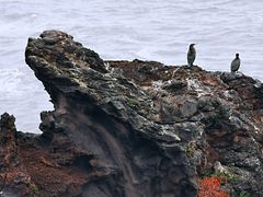 -龙头岩(Dragon Head Rock)