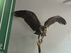 -昆明动物园