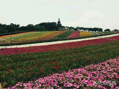 -东部华侨城