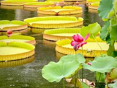 -国家植物园南园