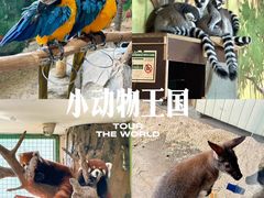 -海合安武汉极地海洋公园