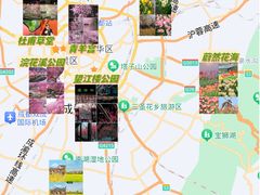 -望江楼公园