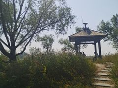 -野鸭湖国家湿地公园