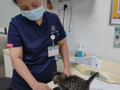-宠颐生中康贝怡动物医院