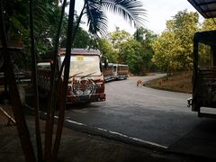 -清迈夜间动物园