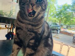 -平行世界·猫咖(首经贸店)