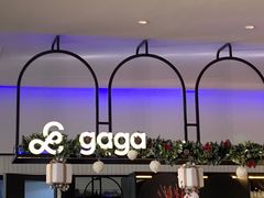 -gaga(深圳南山益田假日广场店)
