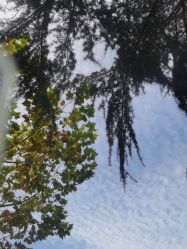 -上海万豪虹桥大酒店·宴会厅