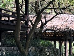 -黄公望隐居地