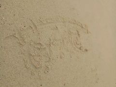 景点-玫瑰海岸文化旅游度假区