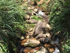 -楠溪江石桅岩