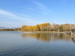 -野鸭湖国家湿地公园