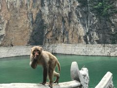 -白帝城·瞿塘峡景区