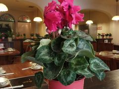 店内布置-绝城芋儿鸡(犀浦旗舰店)