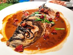 -鸽子侯·家宴·平价海鲜(绿地店)