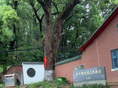 -马王堆汉墓遗址