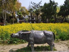 景点-朱家角课植园