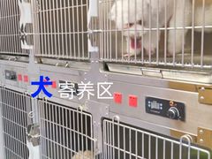 -博特宠物医院24h犬猫全科.骨科·异宠