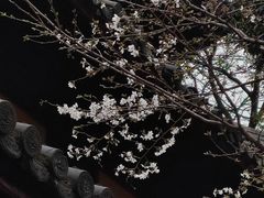 -龙华寺